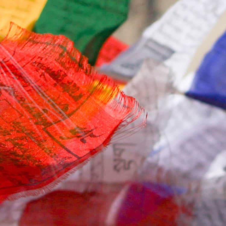 leh ladakh prayer flags khardungla pass gurudwara hall of fame museum