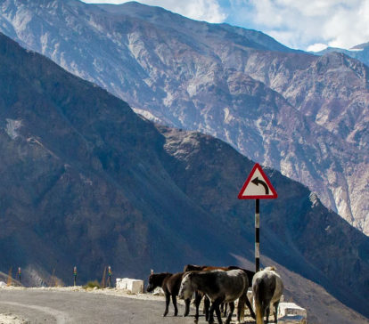 manali packages himachal salong valley rohtang pass