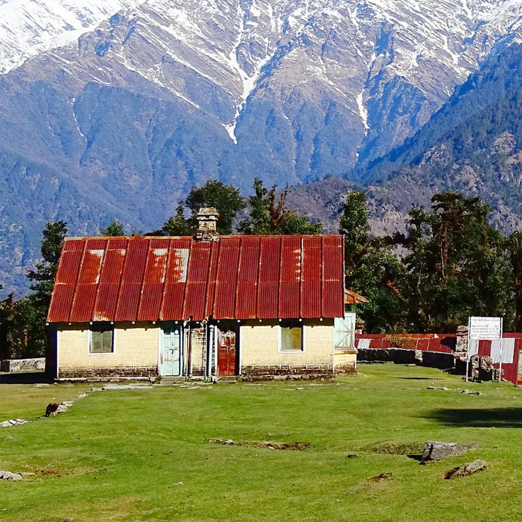 auli joshimath dehradun uttarakhand packages tours