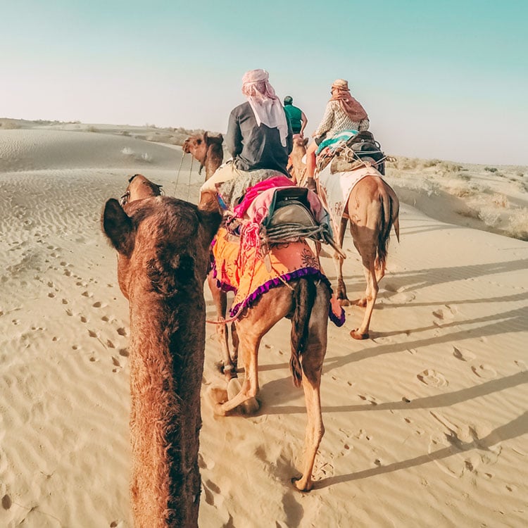 jaisalmer camel safari sand-dunes desert safari rajasthan