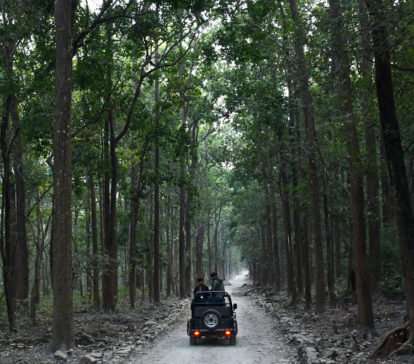 jim corbett packages ramnagar jungle safari nainital uttarakhand