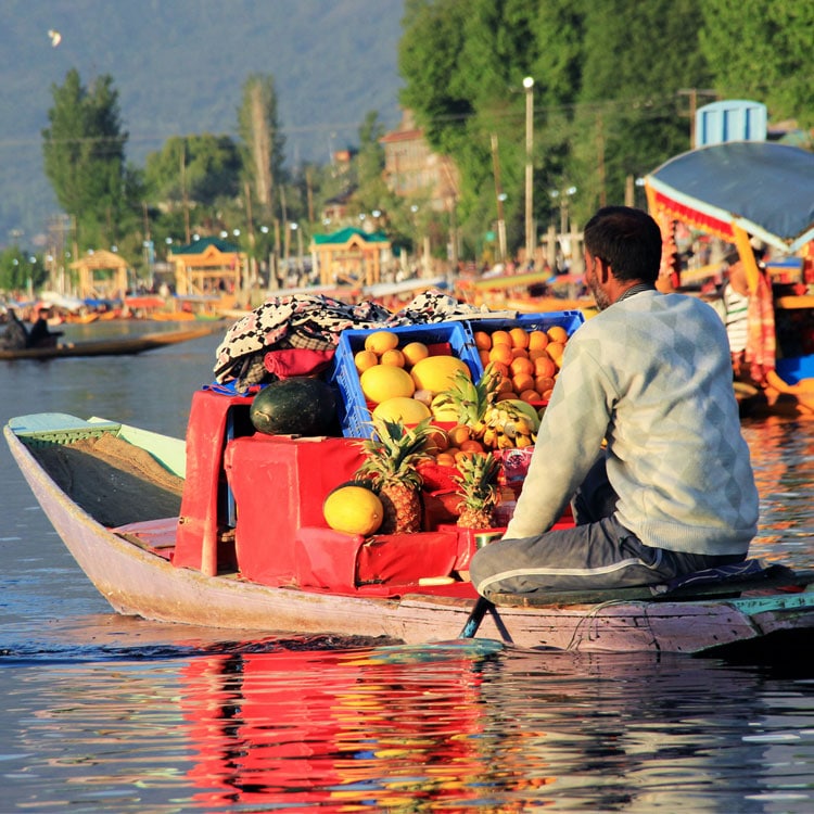 kashmir houseboat packages srinagar dal lake shikara ride