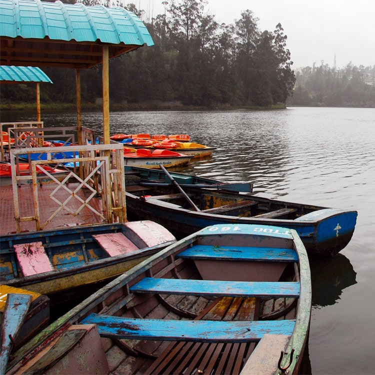 coorg ooty kodaikanal packages tamil nadu