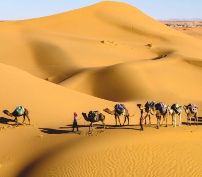 rajasthan packages jaisalmer-jodhpur camel safari sand dunes