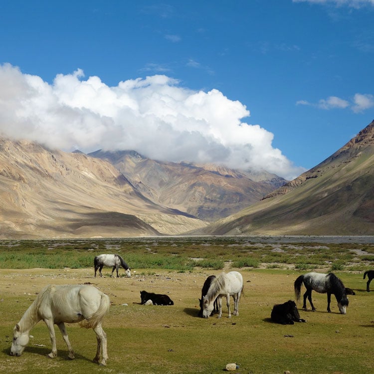 spiti valley tour packages himachal narkanda