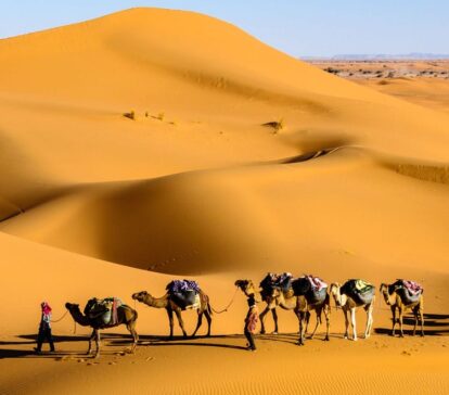 desert safari dubai sand dunes camel safari ride bbq barbecue dinner