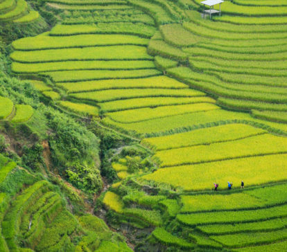 vietnam sapa lao chai village ta van giang ta chai