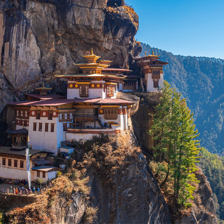 bhutan packages thimpu paro punakha