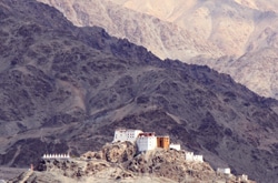 ladakh leh city pangong shanti stupa nubra