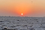 white sands rann utsav from mumbai