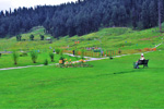 kashmir tour packages from mumbai